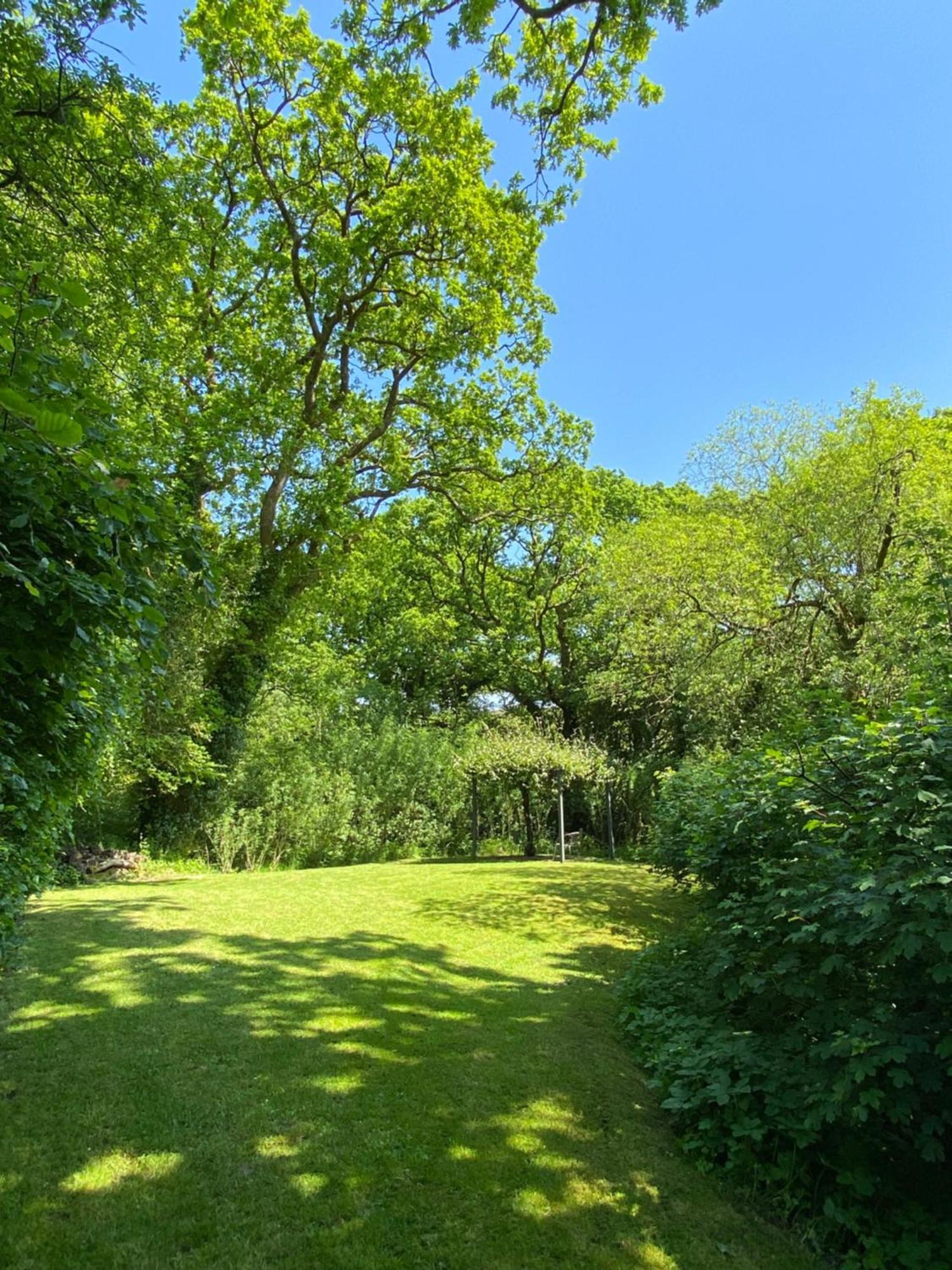 Newton Saint Petrock Petrock Holiday Cottages חדר תמונה
